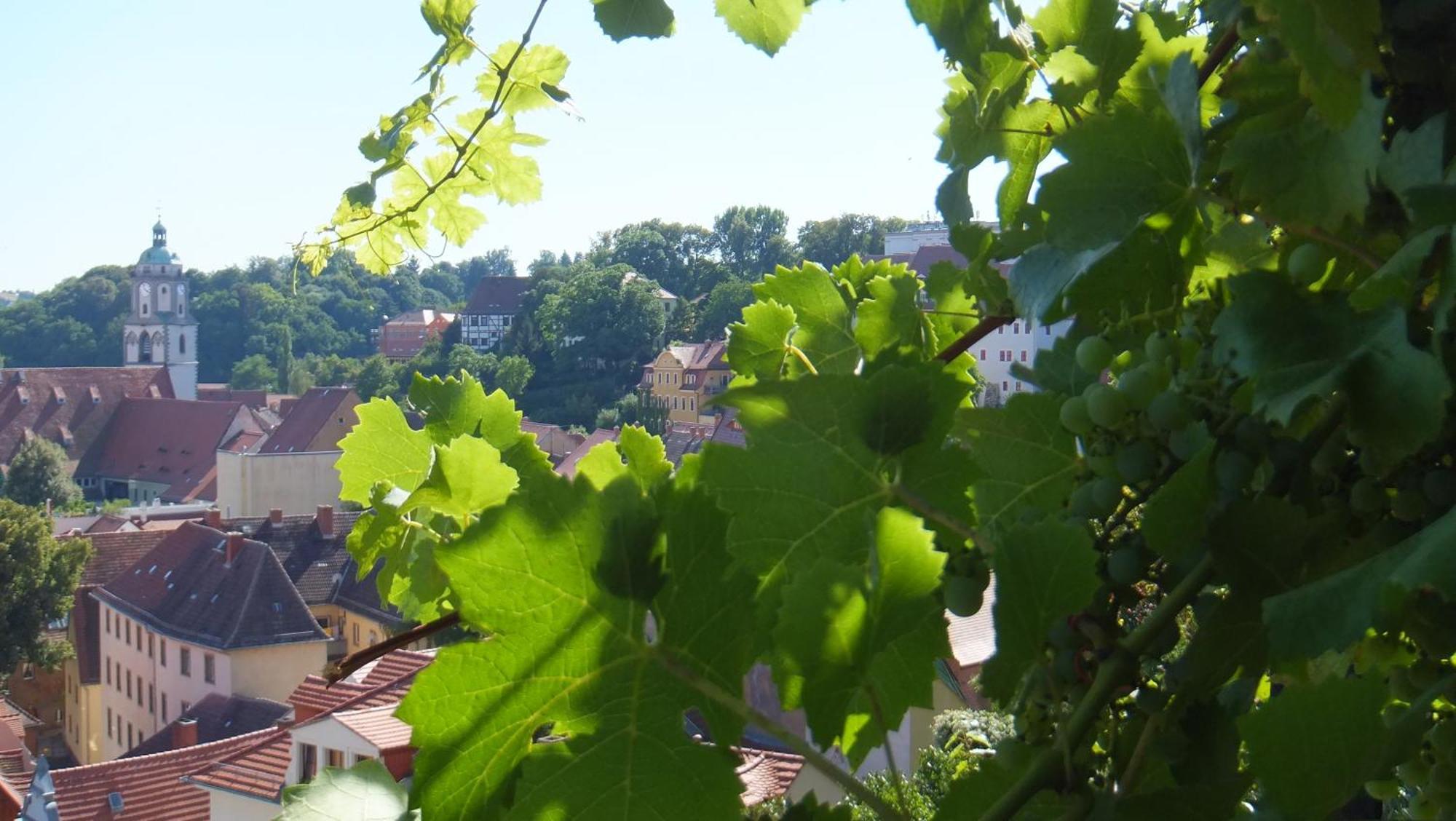 Hotel Schlossberg Meissen Bagian luar foto